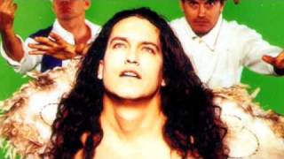 Meat Puppets - Vampires