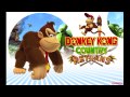 Boulder Roller - Donkey Kong Country Returns by Nintendo