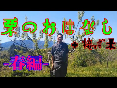 一般的な栗の木 - 定義