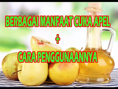 Seorang gadis yang kehilangan berat badan pada Katakanlah Adalah mungkin untuk menurunkan berat badan dengan tidak makan roti dan manis