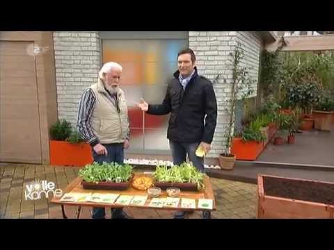 Das große Schlüpfen "Johannes B. Kerner lässt die Eier raus"