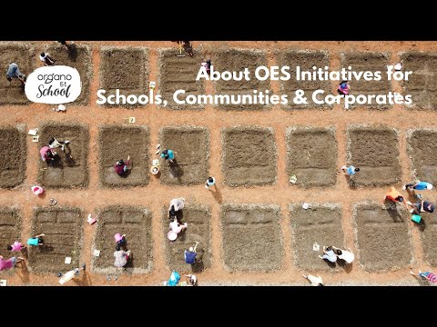 About OES Initiatives