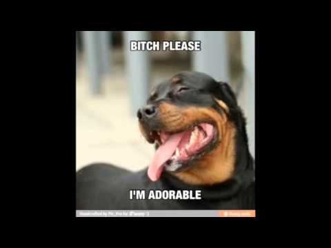 NoMoreBouncin' @CreezAssSkitzo