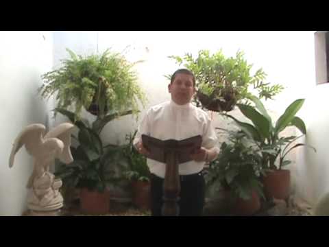 EVANGELIO DIARIO 21 DE AGOSTO 2011 - PARROQUIA LA SAGRADA FAMILIA