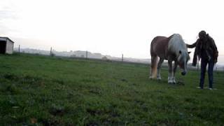 Witse 7 octobre 2010 