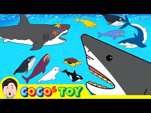 50MinㅣA collection of 5 stories about animals adventure under the seaㅣSea animals for kidsㅣCoCosToy