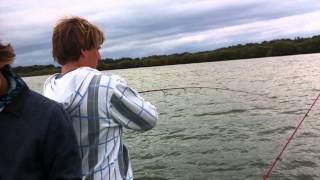 Flathead fishing with soft plastic lures