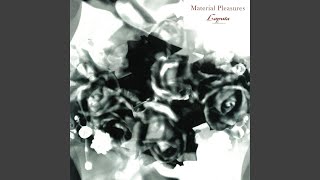 Music video thumbnail preview for Gorgeous by Laputa