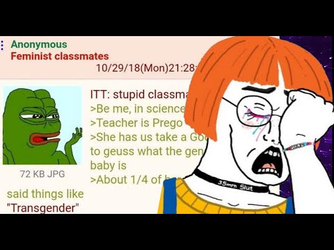 ANON DOESN'T UNDERSTAND FEMINISTS - BEST OF R/GREENTEXT #46