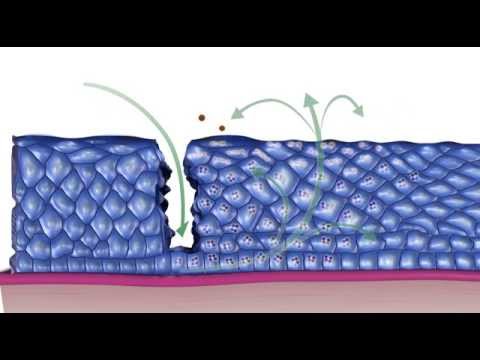 Hpv vírus 35 évesen