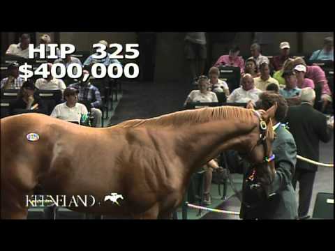 2013 September Yearling Sale - Hip 325- Tapit-Pretty 'n Smart colt