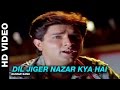 Dil Jiger Nazar Kiya Hai Dil Ka Kya Kasoor Kumar Sanu Prithvi Divya Bharti