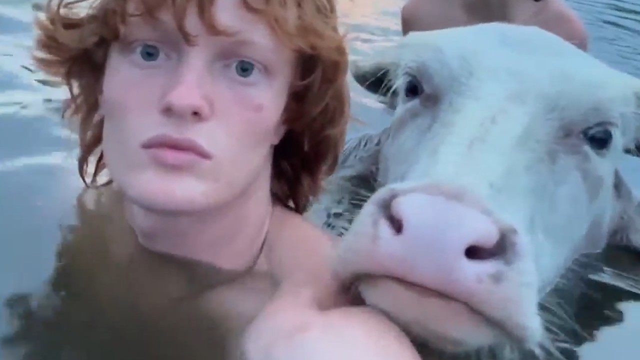 UNUSUAL MEMES COMPILATION V364