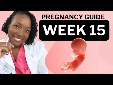 15 Weeks Pregnant: What To Expect