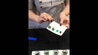 Relationships and Biodiversity State Lab - Test #4