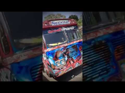 Maarambari with Shrungaari