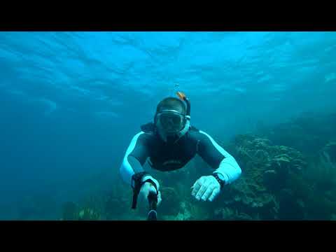 Snorkeling in Cayo Arena - Paradise Island - Puerto Plata.