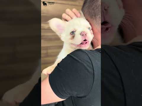 Video 4