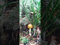 North Of Czech Republic