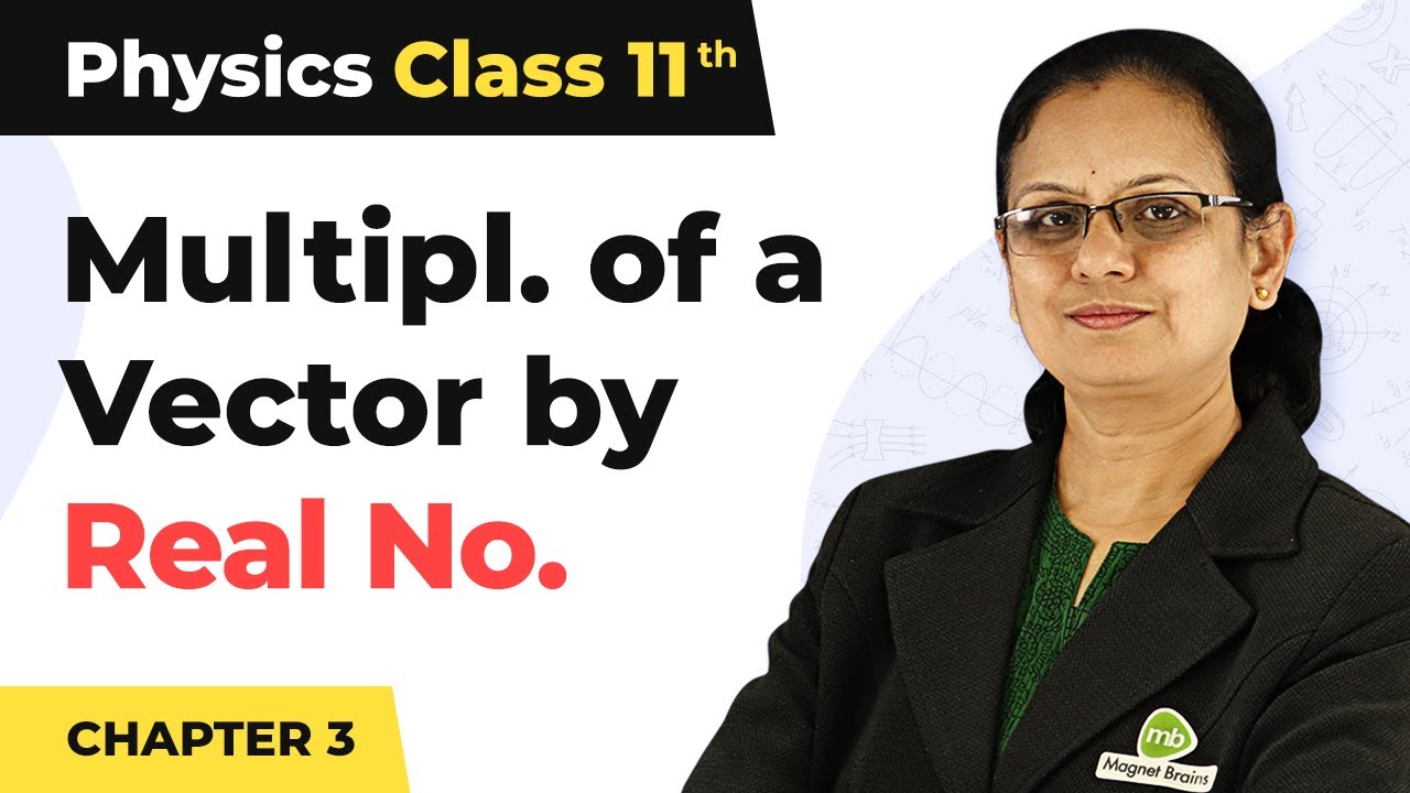 Multiplication of a Vector by Real Number - Motion in a Plane | Class 11 Physics