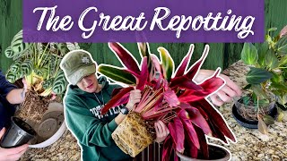 Repot-a-thon and Chat | Reviving My Neglected Plants + Life Updates
