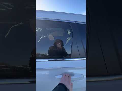 фото honda cr-v v 0