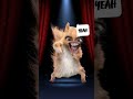 Ralph the dancing squirrel #funny #snapchat