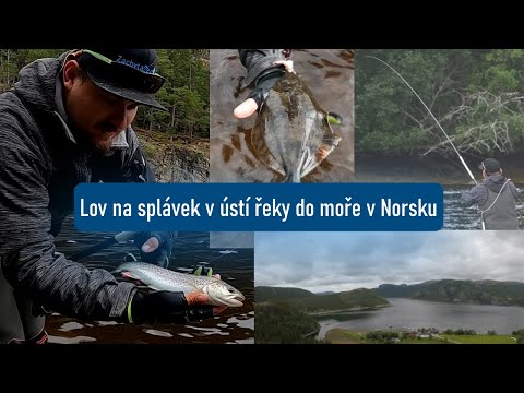 Lov na splávek v ústí řeky do moře v Norsku