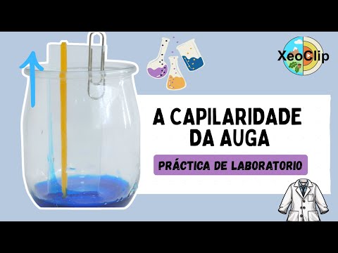 Vídeo: A capilaridade da auga. Comprobando a altura