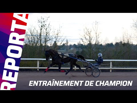 Prix de France Eqwin : Iguski Sautonne vers une performance historique ?