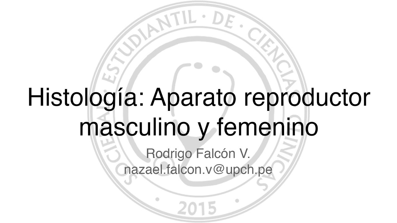 Histología aparato reproductor masculino y femenino