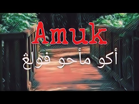 Aku Mahu Pulang - Amuk