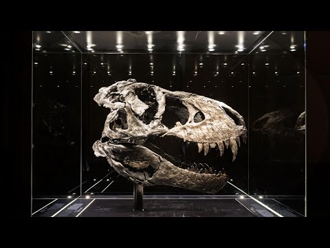 The Origins and Tragedy of the Maastrichtian North American Dinosaurs