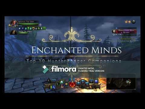 Top 10 Companion Active Bonuses Hunter Ranger - Neverwinter Mod 12.5