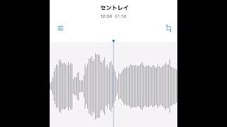 #駄菓子cOver型 - セントレイ/サカナクション