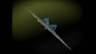 Mekone · Becuz (Sonic Youth Cover)