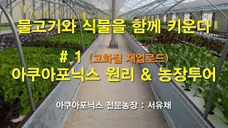[서유채Farm - 1편] 아쿠아포닉스 원리 & 농장투어 (고화질재업)