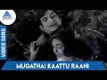 Kaattu Rani Tamil Movie Songs Kaattu Raani Mugathai Kaattu Raani Video Song TMS P Susheela