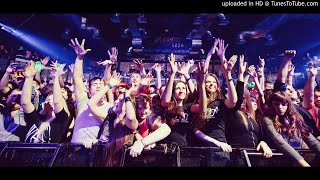 Hi Gate - D Tune (Earplugs)