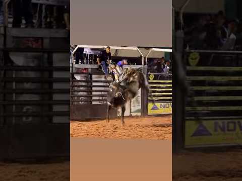 Campeão de Mira Estrela 2026 #montariasemtouros #pecuarista #cowboys #rodeio #rodeo #bullriding