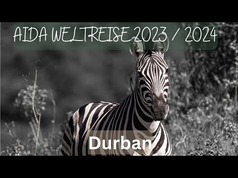 AIDA Weltreise 2023 I 2024 _ 031 Durban - Ein Tag in und um Durban