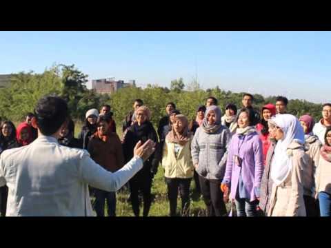YouTube video