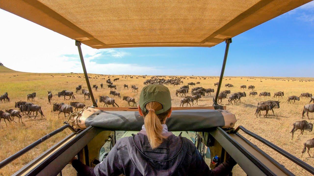 Serengeti Wildebeest Migration 4K