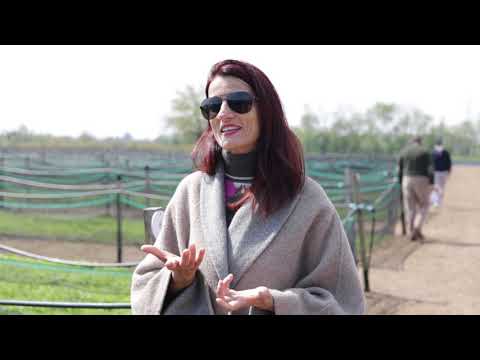 Dentro l’allevamento di lumache “cool”