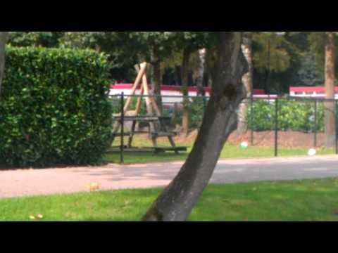 Johans penal het stadion uit 5-5  24-9-2011