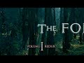 [Vol. 1] - Jeremy Soule (Skyrim) — “In The Forests of Tamriel” Redux [Extended] (1 Hr.)