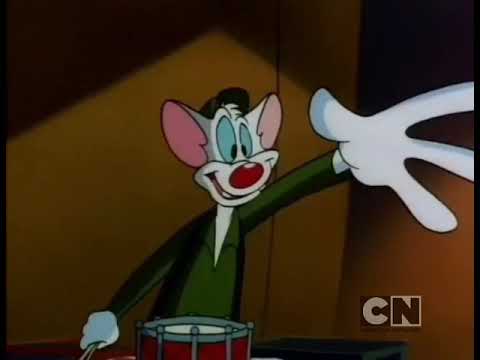 (Les Animaniacs) Minus et Cortex - intro + General Cortex (French, Cartoon Network airing)