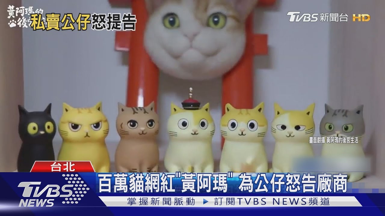 百萬貓網紅「黃阿瑪」　為公仔怒告廠商