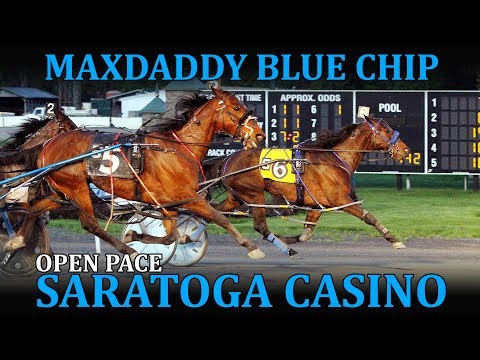 Maxdaddy Blue Chip 5/12/18 #TeamAllard #horseracing