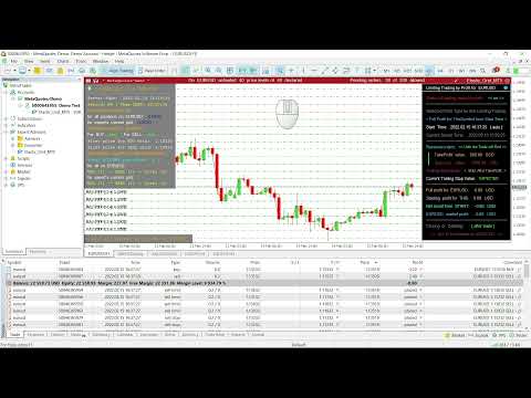 Video Elastic Grid MT5